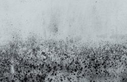 fix a wet basement from inside or outside?