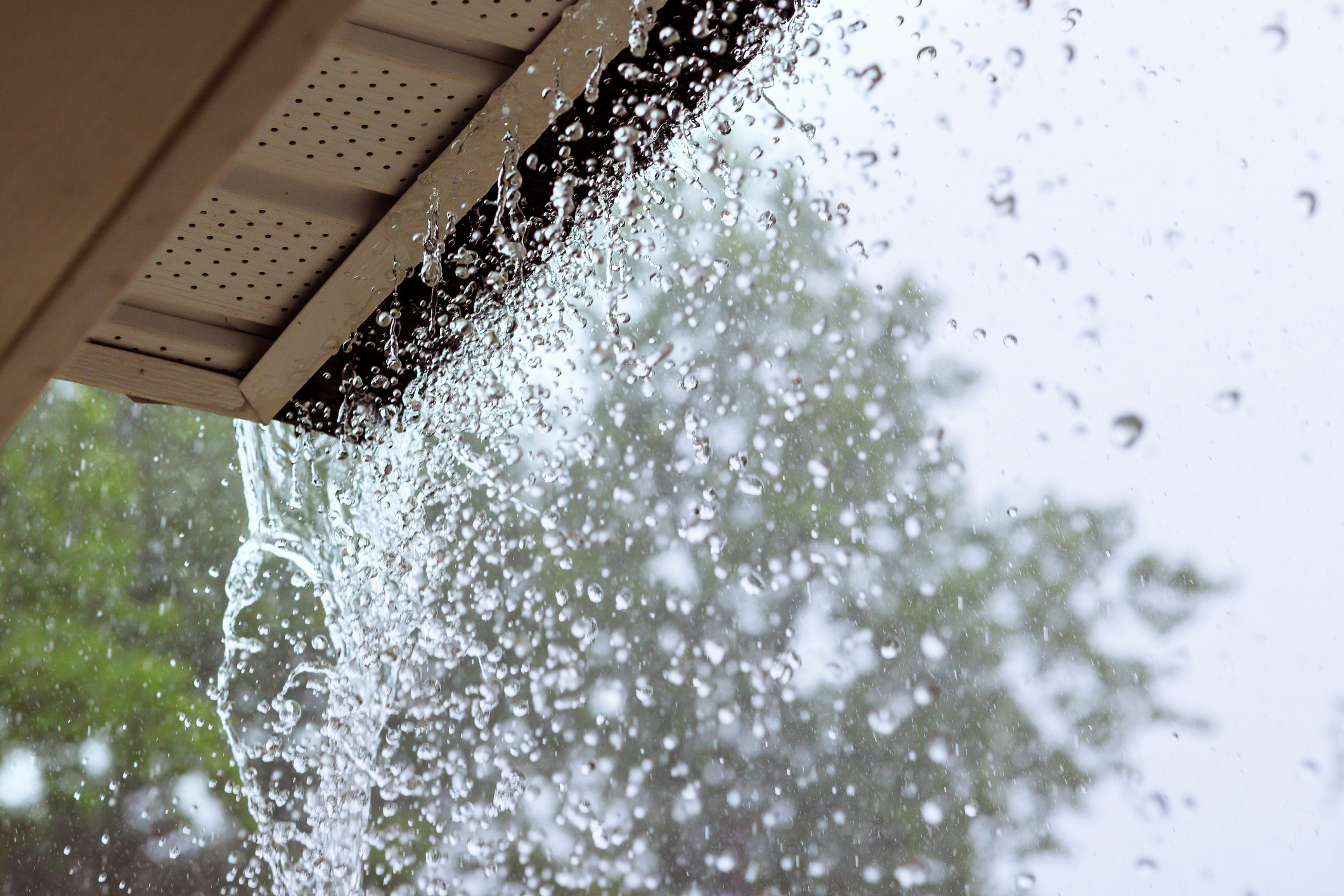 Tips to Effectively Solve Yard Drainage Issues After Spring Rains