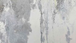 Basement mould