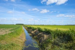 Ditches for drainage on farms and large properties