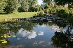 holding pond for yard drainage by BEST