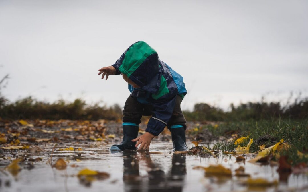 What Are Catch Basins, is it needed and how to do they work?