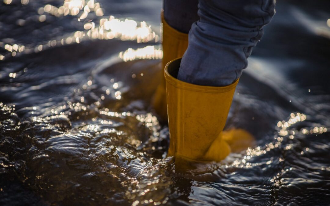 Does a Sump Pump Work if The Power Goes Out?