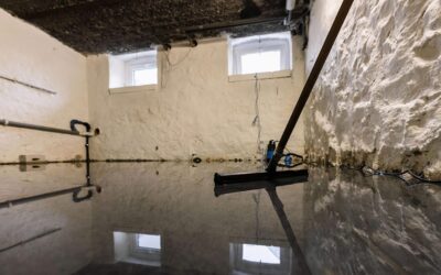 Why You Should Address a Wet or Leaky Basement Promptly