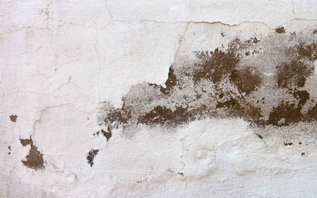 Efflorescence and the Need for Expert Drainage Solutions