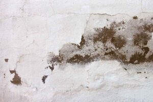 Basement moisture