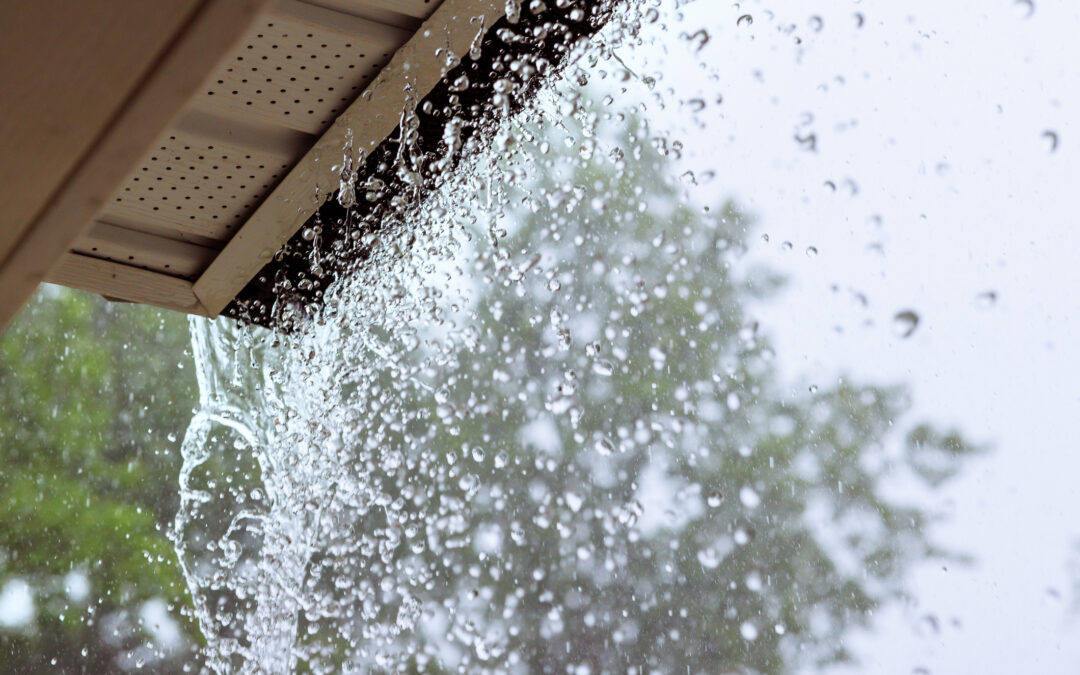 Is It Normal to Have Water in Basement After Heavy Rain? Essential Tips for Homeowners