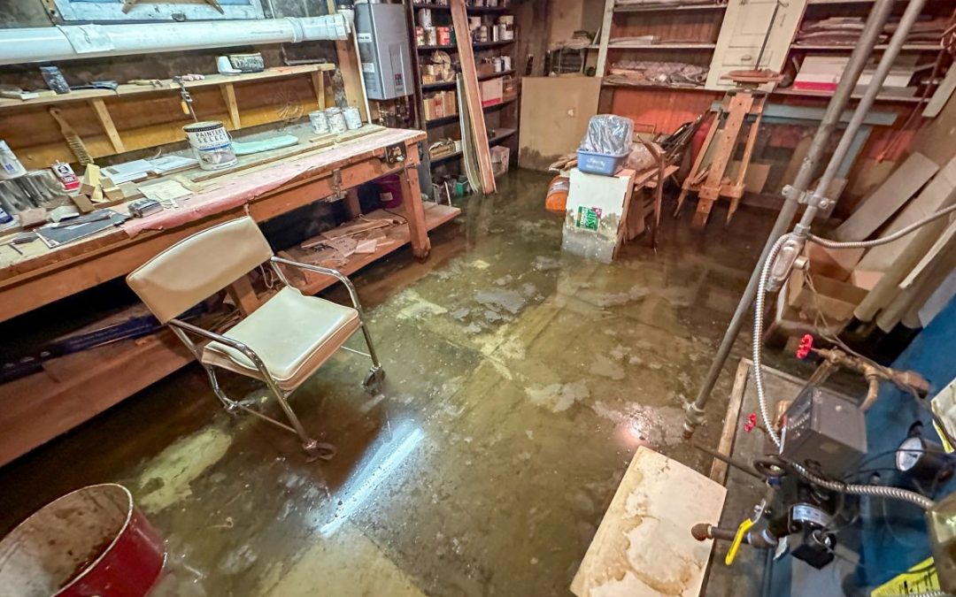 How to Effectively Dry Out a Wet Basement: A Complete Guide
