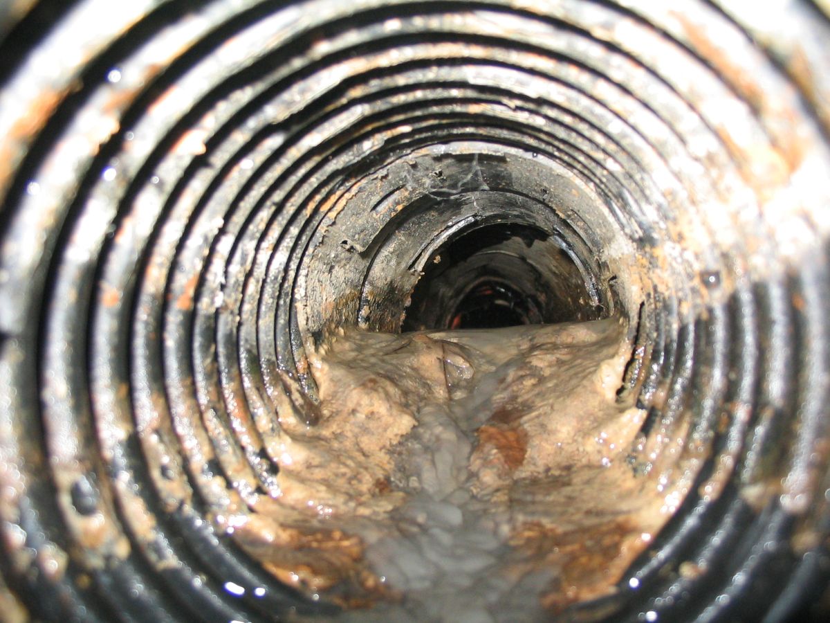 How do I find a reliable local plumber?