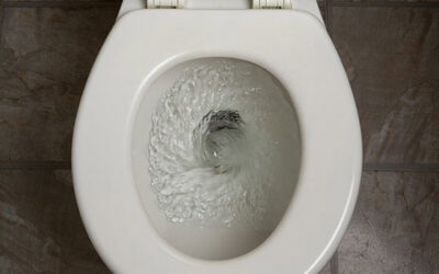17 Things You Should Never Flush Down Your Toilet