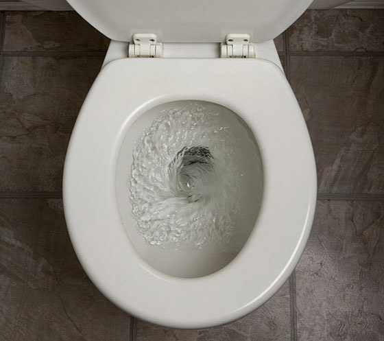 Things never flush down your toilet