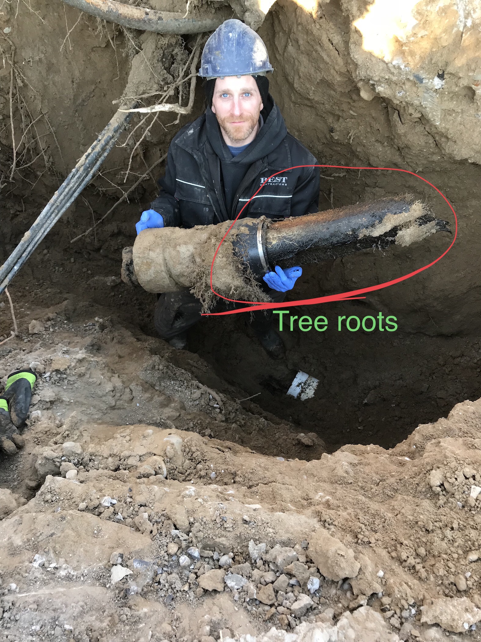 Sewer Backup Emergency Guide - Sewer Damage Tree Root | BEST Contractors