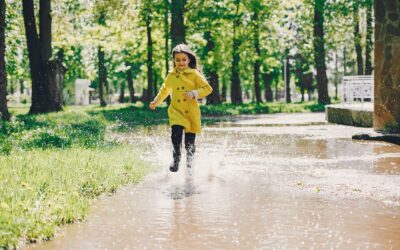 6 Powerful Tips to Effectively Solve Yard Drainage Issues After Spring Rains