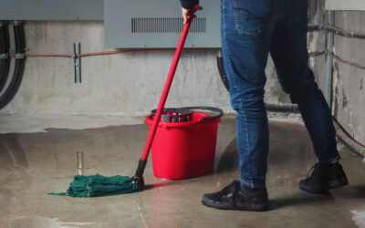 What To Do When You Have Basement Mould