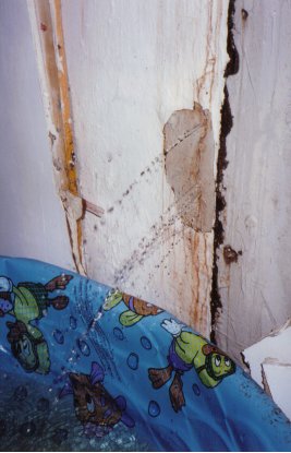 Wet Leaky basement 