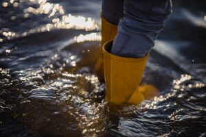 Lawn drainage issues and tips how to solve them