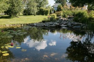 holding pond for stormwater mangement, and yard drainage by BEST