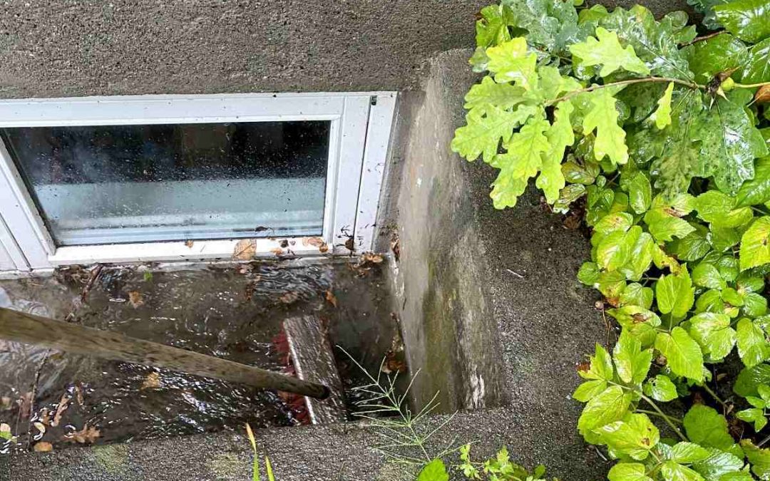4 Common Yard Drainage Issues You Can’t Ignore
