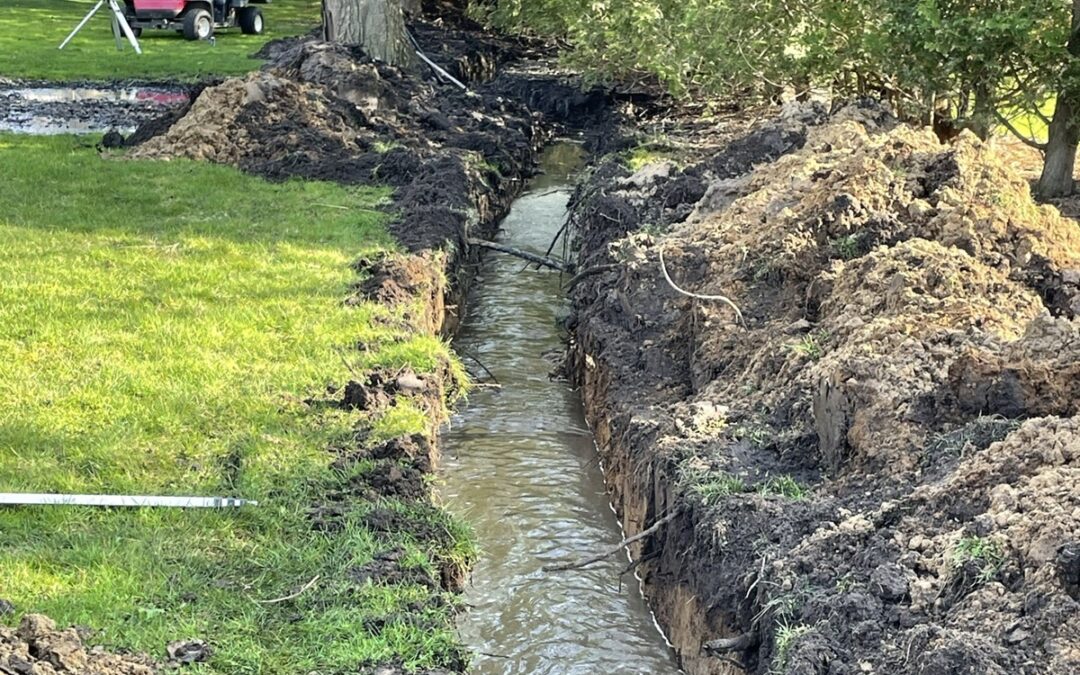 Why Poor Drainage Happens and Why You Need Professional Help